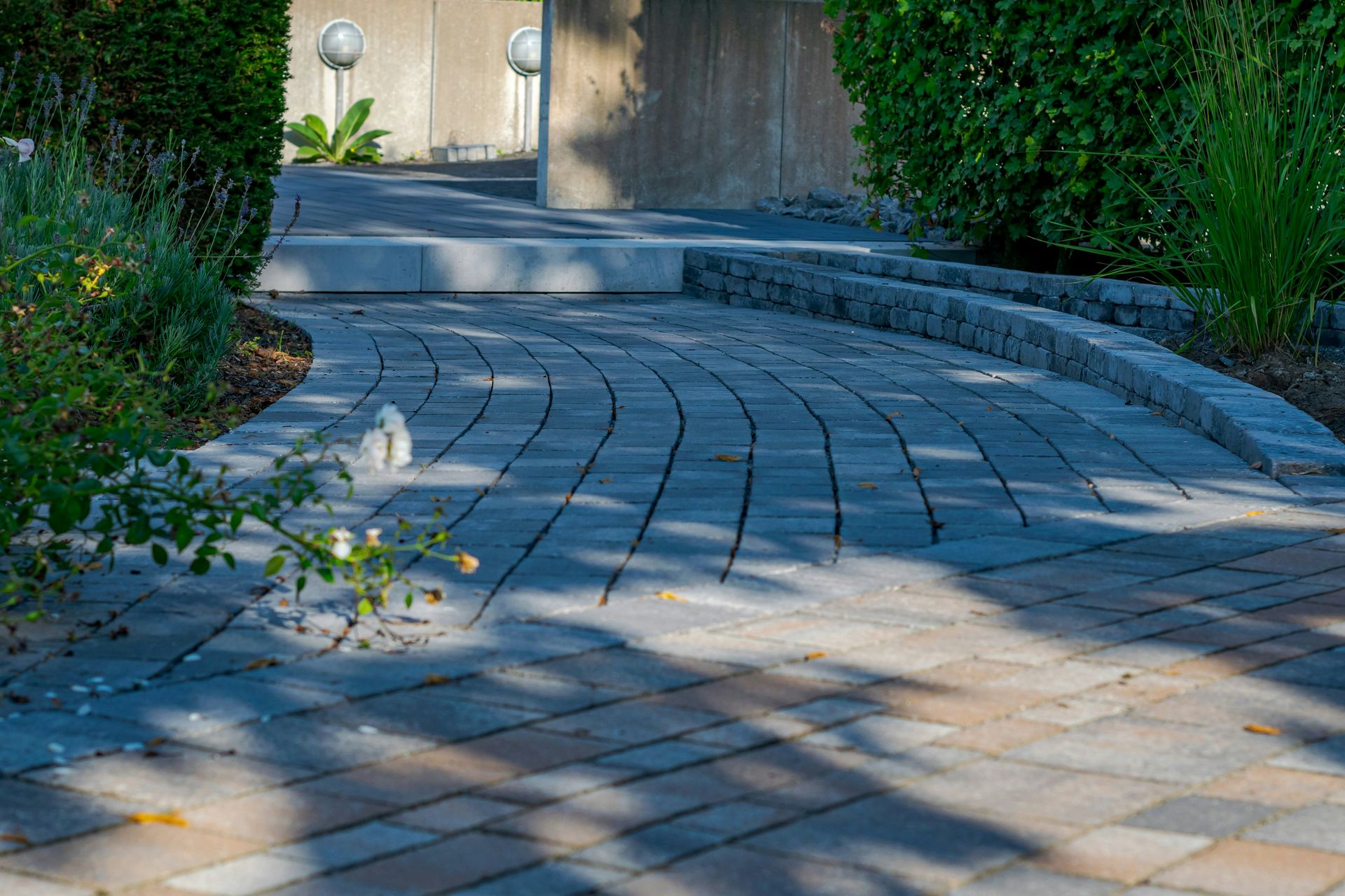 A curved paved pathway surrounded by green bushes and plants